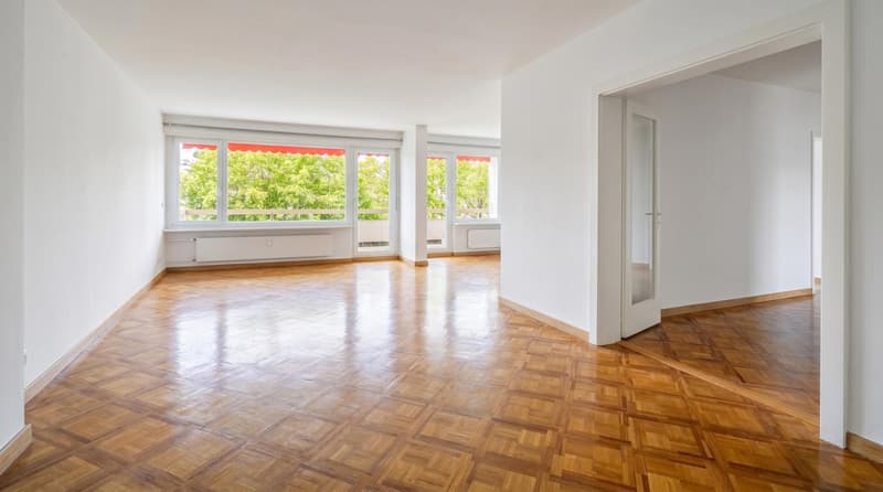 Co-exclusivité à Florissant - appartement traversant (2)