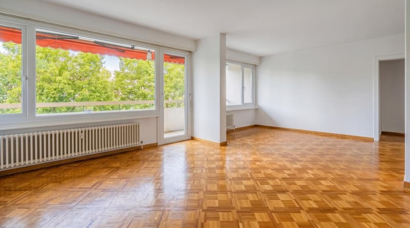 Florissant - appartement traversant (4)