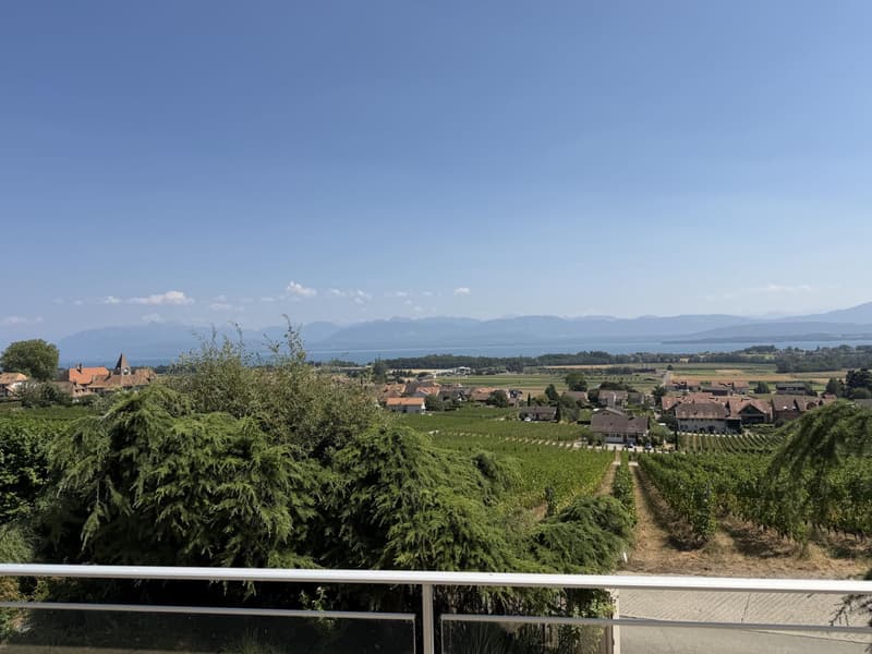 Magnifique villa avec vue panoramique à Bursins (1)