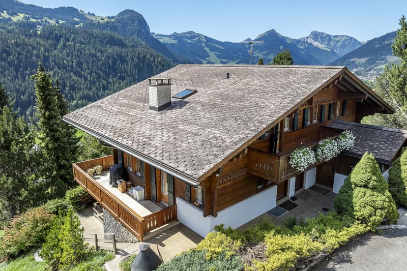 Magnifique Chalet avec une très belle vue! (2)