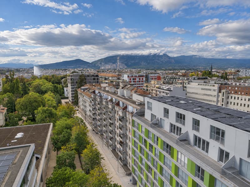 Magnifique attique en duplex avec 79 m² de terrasses au Petit-Saconnex (6)