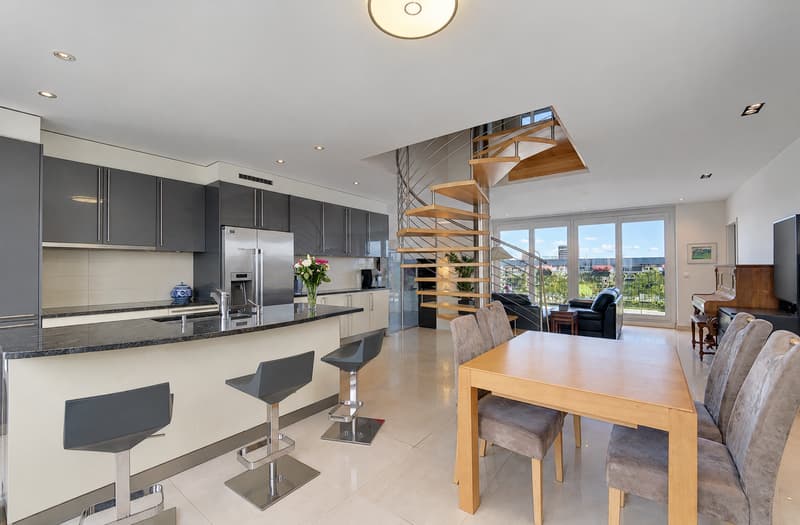 Magnifique attique en duplex avec 79 m² de terrasses au Petit-Saconnex (3)