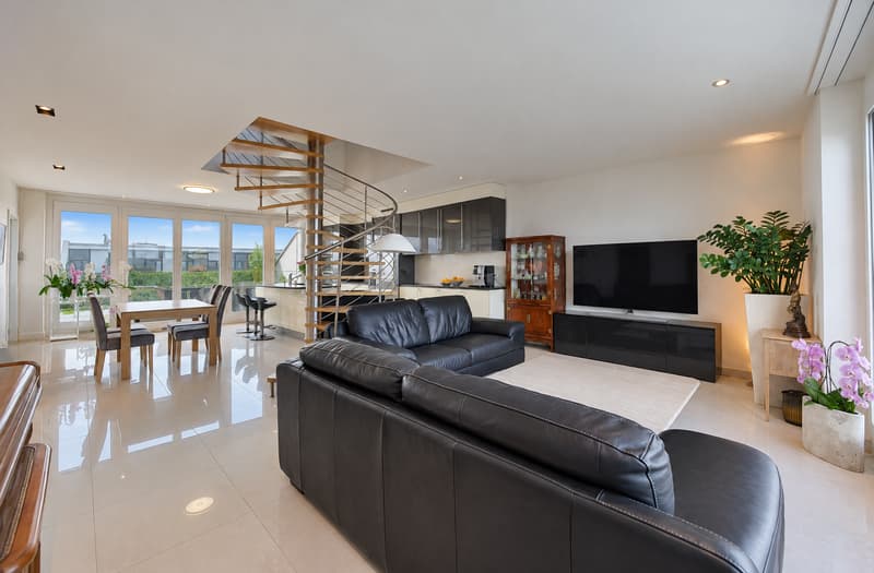 Magnifique attique en duplex avec 79 m² de terrasses au Petit-Saconnex (2)