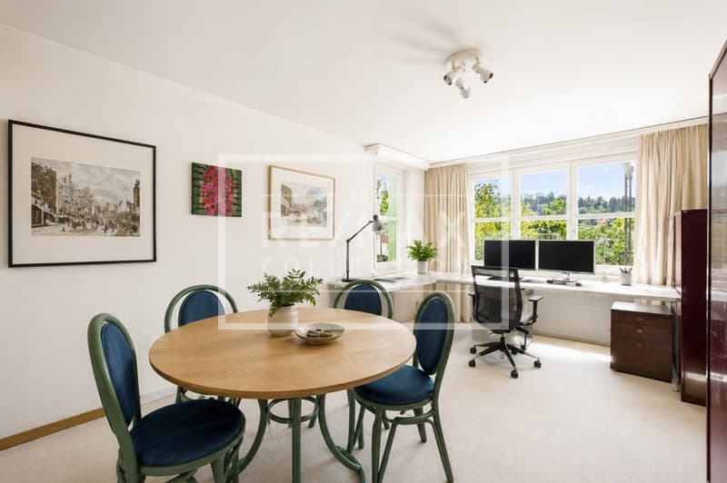 5.5 Zimmer Terrassenwohnung mit Weitsicht (8)
