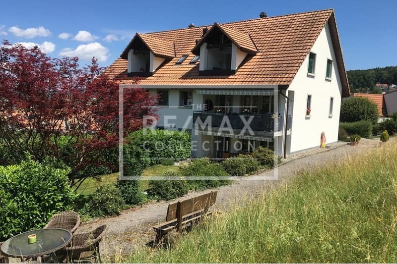 Sonnige Dachwohnung in Bonstetten mit Traum-Aussicht, nahe Zürich (7)