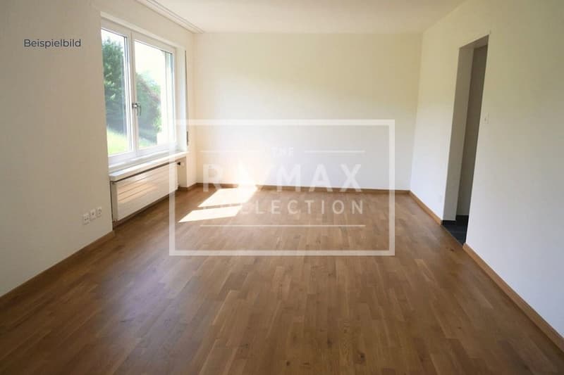 Moderne 1.5-Zimmerwohnung mit Balkon in Zürich Enge / Wollishofen (6)