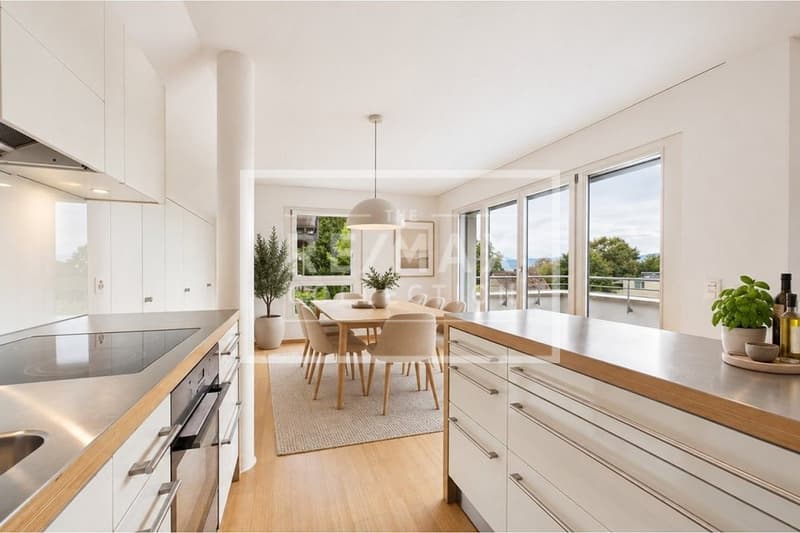 2.5 Zimmer Attikawohnung und zusätzliches Studio am Zürichberg (3)