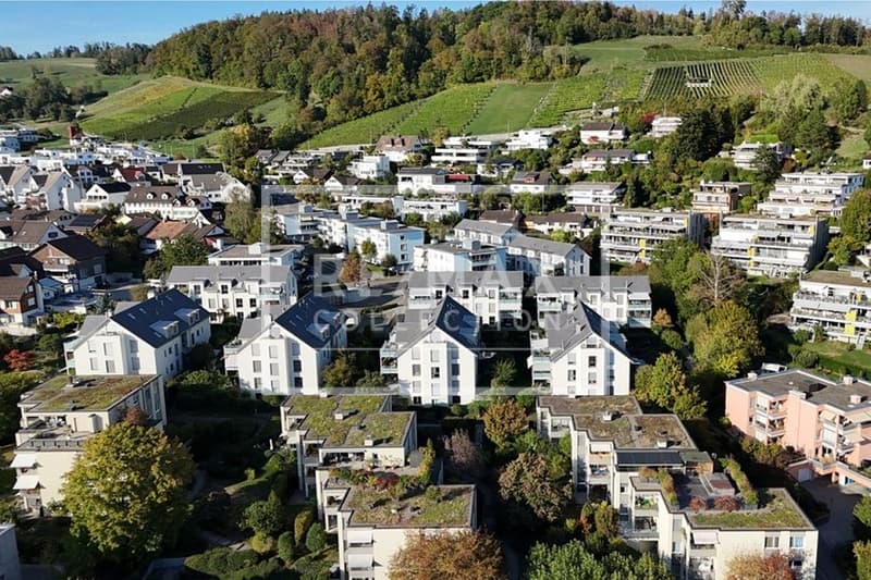 3.5 Zimmer Gartenwohnung mit Weitsicht (11)