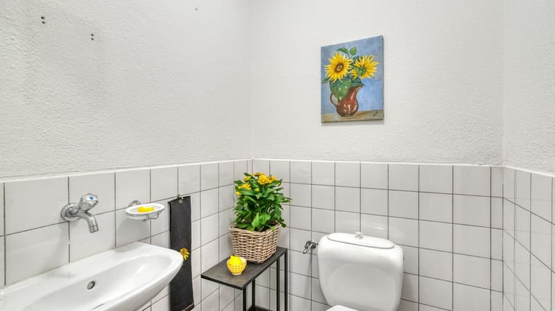 Charming 3.5-room city apartment in Zürcher Seefeld (10)