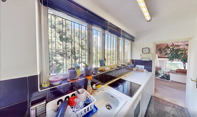 Einmaliges Ferienhaus in idyllischer Lage mit vielfältiger Nutzung (5)