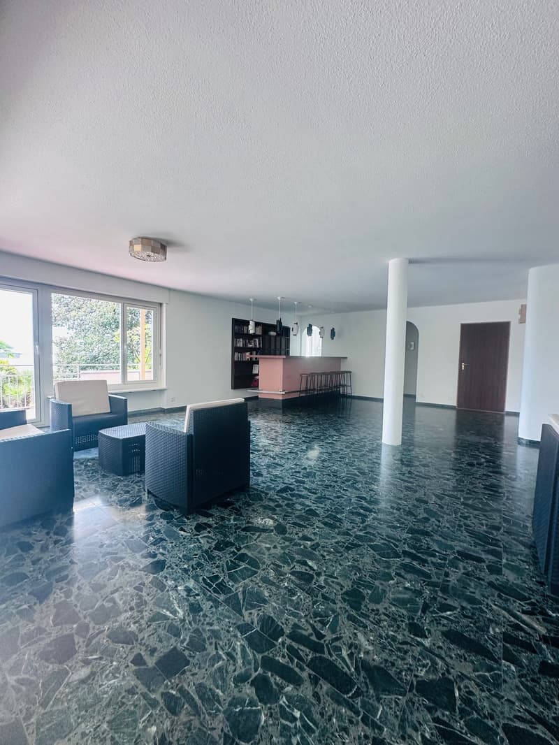 Studio attique top-moderne avec vue sur le lac et parking (12)