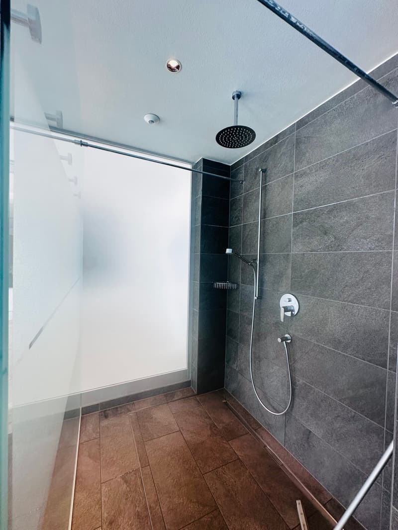 Studio attique top-moderne avec vue sur le lac et parking (14)