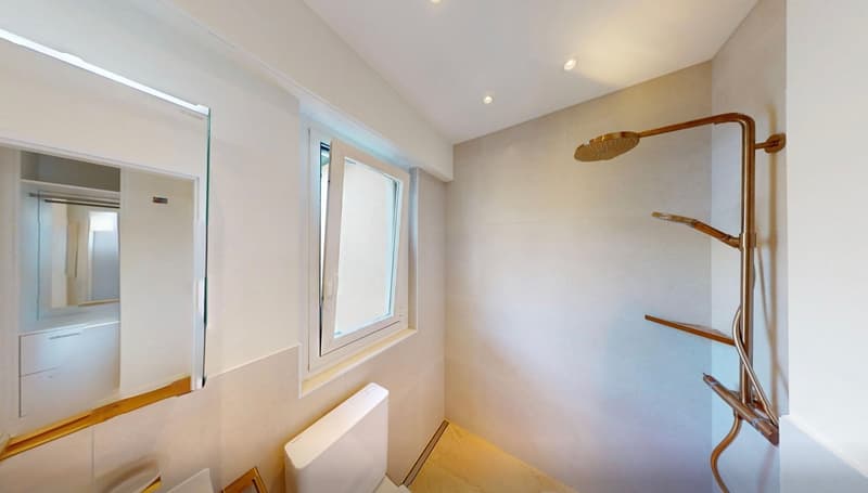 Studio attique top-moderne avec vue sur le lac et parking (10)