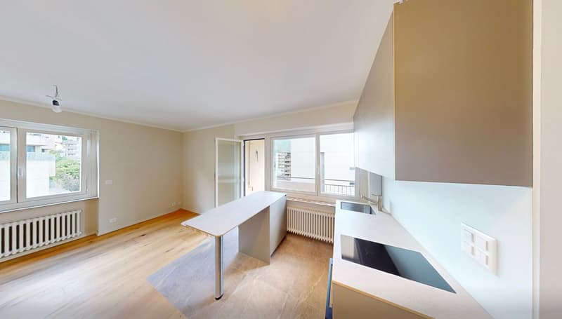 Studio attique top-moderne avec vue sur le lac et parking (2)