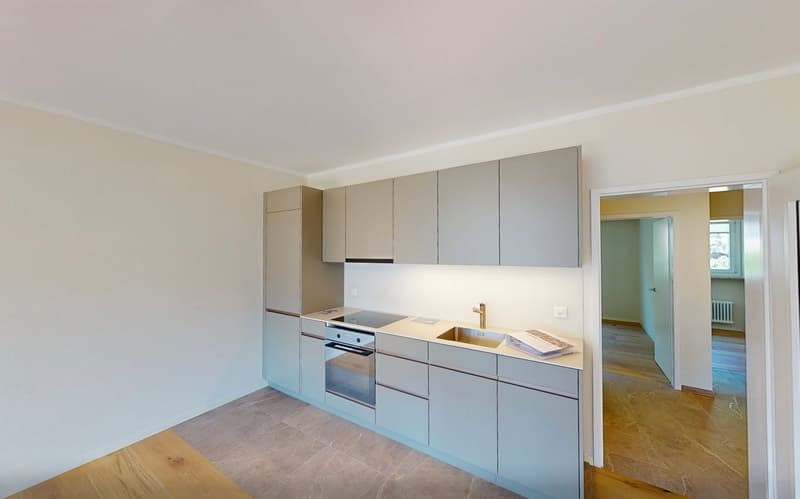 hre 3.5 Zi.- Ferienwohnung -Alles neu, alles nah! (1)