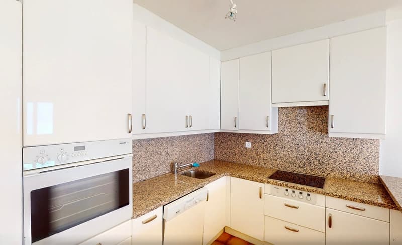 4.5 Zi.Wohnung in Traumlage (5)
