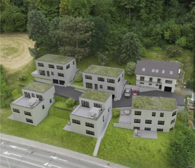 Exclusive new single-family home in Rümlingen (9)