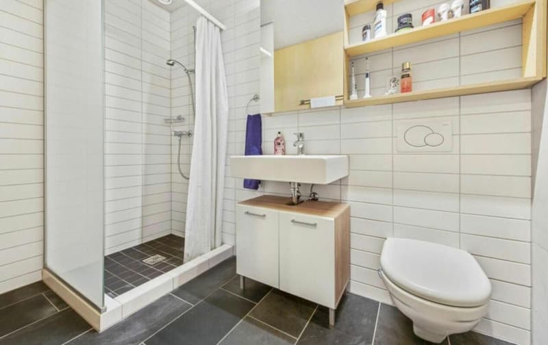Spacious 4.5-room apartment in a quiet location (7)