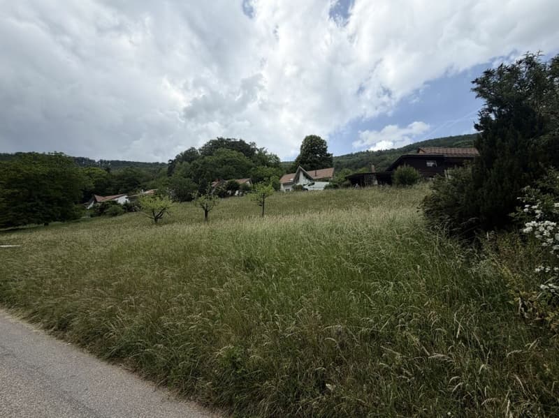 Rare opportunity: residential house with outbuilding and building land reserve on 1'752 m² in Lostorf (10)
