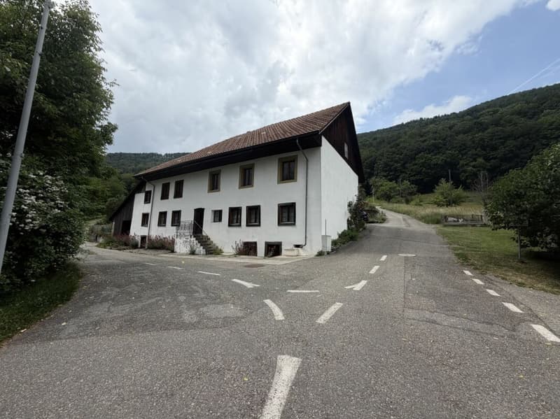 Rare opportunity: residential house with outbuilding and building land reserve on 1'752 m² in Lostorf (1)