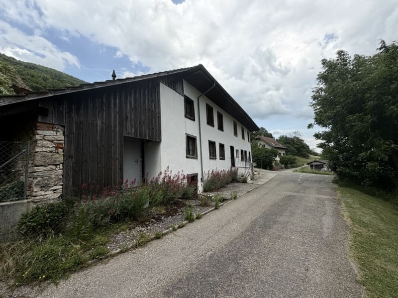 Rare opportunity: residential house with outbuilding and building land reserve on 1'752 m² in Lostorf (9)