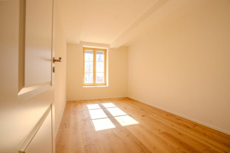 Charmant appartement 1.5 pièces dans un quartier calme à Hofstetten-Flüh (4)
