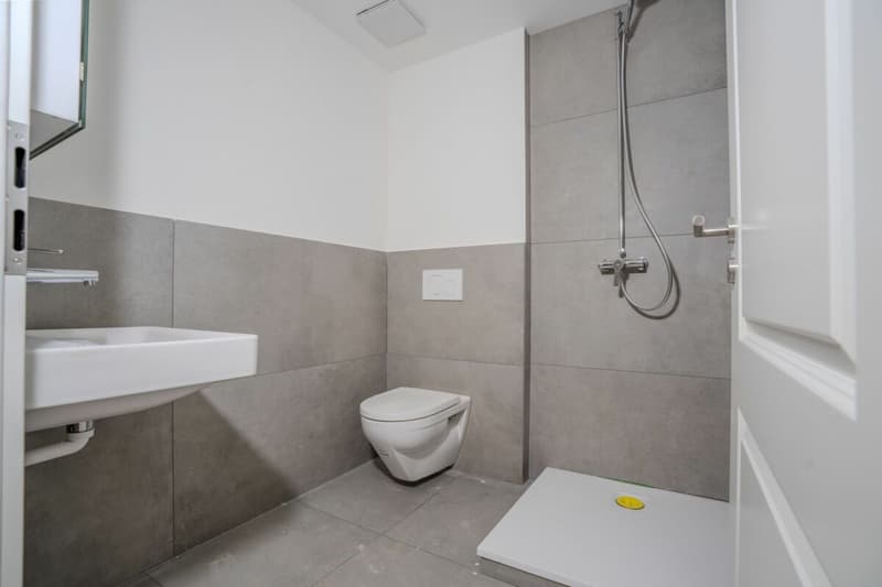 Charmant appartement 1.5 pièces dans un quartier calme à Hofstetten-Flüh (6)