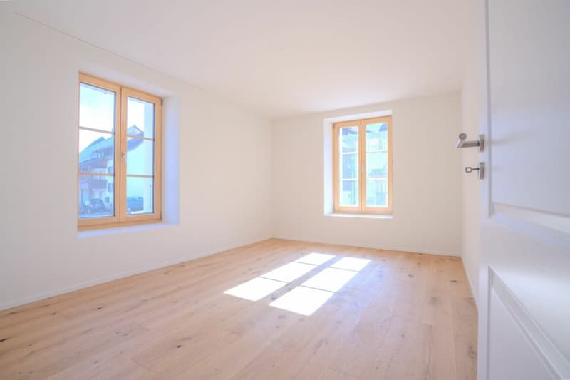 Charmant appartement 1.5 pièces dans un quartier calme à Hofstetten-Flüh (2)