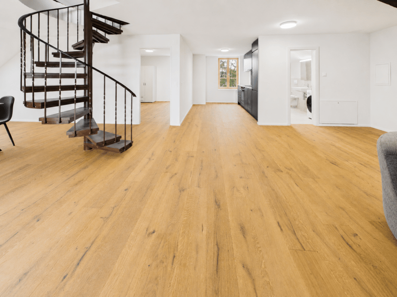 127 m² purer Wohntraum - frisch renovierte Maisonette-Wohnung in Hofstetten-Flüh (1)