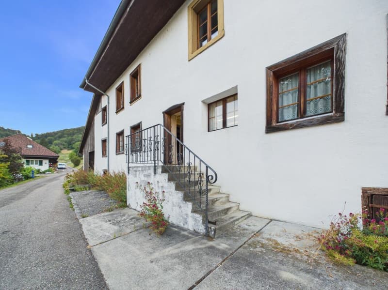 Seltene Gelegenheit: Wohnhaus mit Ökonomieteil und Baulandreserve auf 1'752 m² in Lostorf (14)