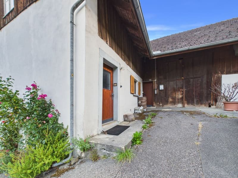 Seltene Gelegenheit: Wohnhaus mit Ökonomieteil und Baulandreserve auf 1'752 m² in Lostorf (11)