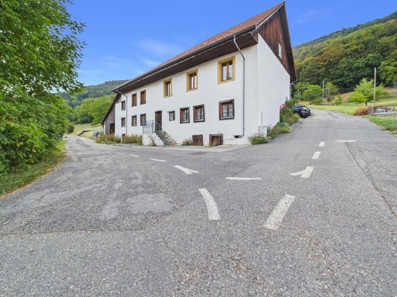Seltene Gelegenheit: Wohnhaus mit Ökonomieteil und Baulandreserve auf 1'752 m² in Lostorf (1)