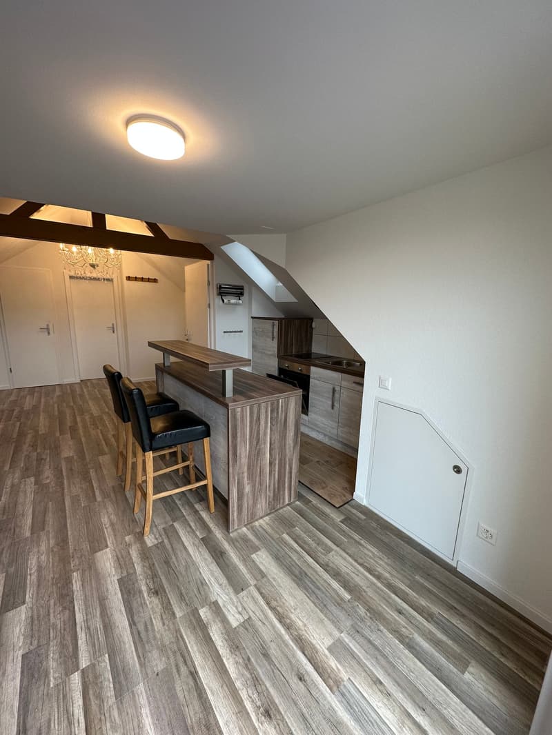 Moderne 2.5-Zimmer-Wohnung mit Charme in Gossau (2)