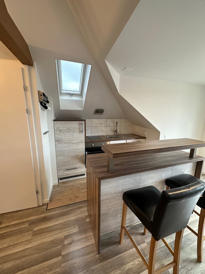 Moderne 2.5-Zimmer-Wohnung mit Charme in Gossau (4)