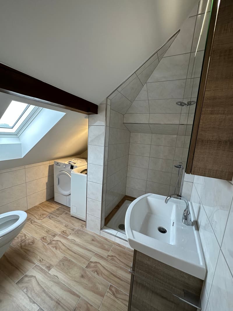 Moderne 2.5-Zimmer-Wohnung mit Charme in Gossau (6)