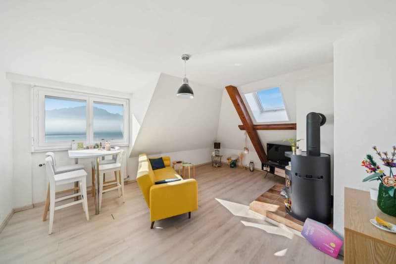 En exclusivité - Charmant 2,5 pièces avec vue panoramique (3)