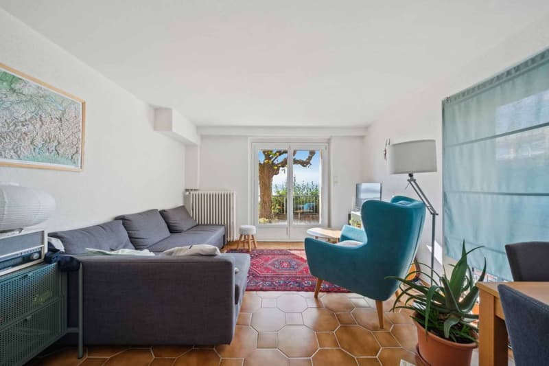 In esclusiva - Delizioso appartamento di 3,5 locali con terrazza e vista panoramica (4)