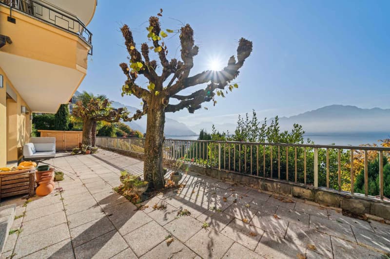 In esclusiva - Delizioso appartamento di 3,5 locali con terrazza e vista panoramica (3)