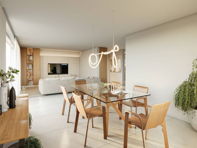 Séjour et espace salle à manger