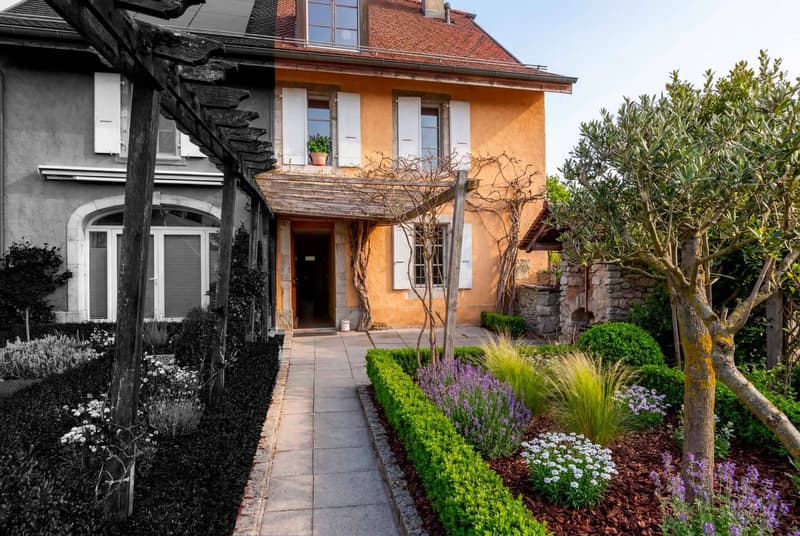 Jardin  Potentiel après rénovation