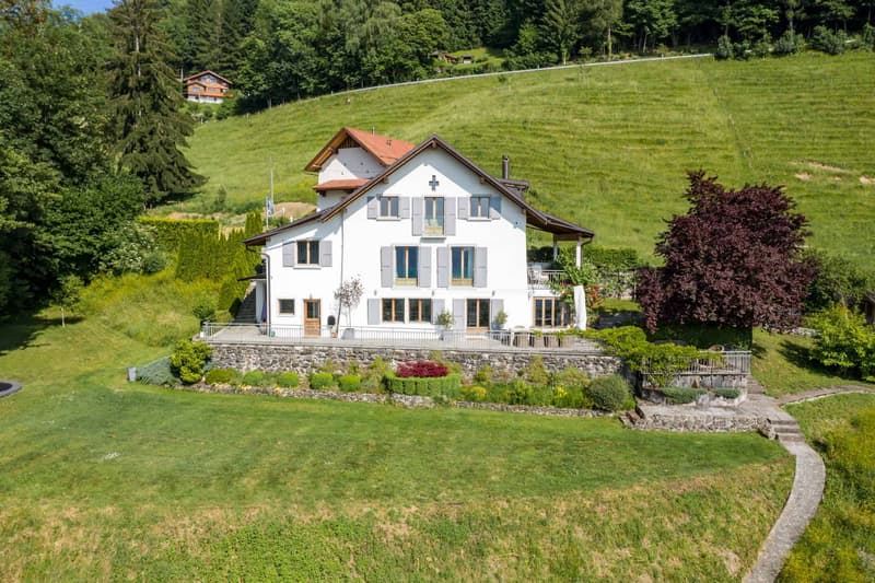Splendid individual property in Chamby, Montreux (6)