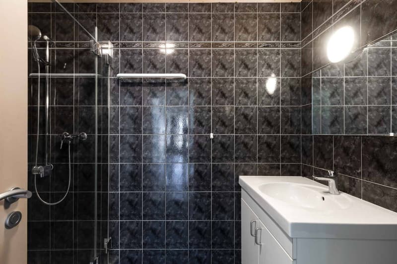 Salle de douche avec WC