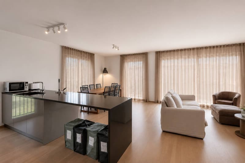 Comfort and brightness for this 4.5-room apartment in the heart of the village (3)