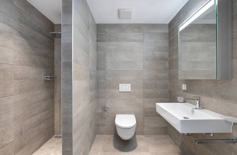 Salle de douche avec WC