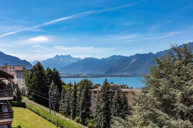 Spacious 4.5-room apartment in a quiet location with lake view (8)