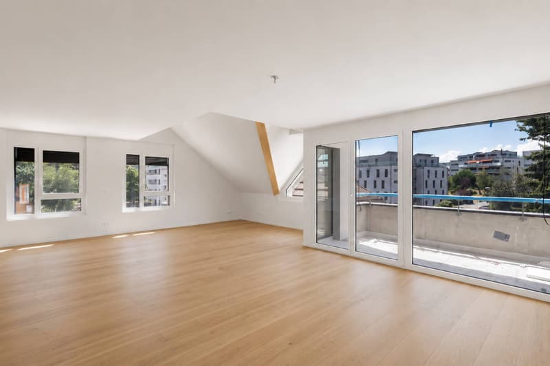 Un duplex nuovo e di eccezione sotto il tetto (6)