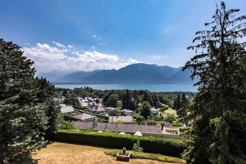 Appartamento di 3.5 locali all'ultimo piano con vista sul lago (2)