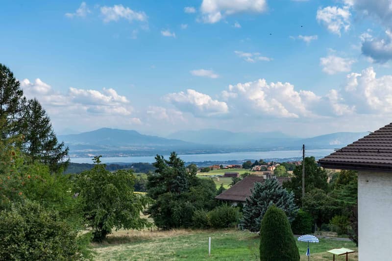 Duplex contemporain rénové avec vue sur le Léman et les Alpes (2)