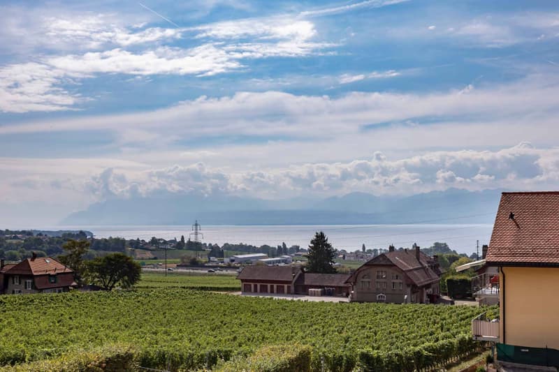 Un panorama d'exception sur le Léman (2)