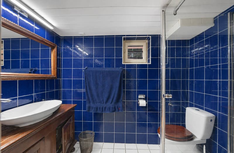 Salle de douche avec WC
